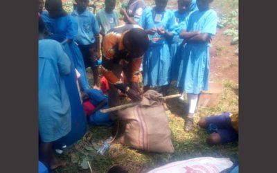 Students Make Organic Liquid Manure